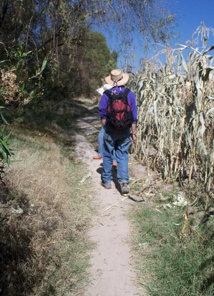 trail along corn